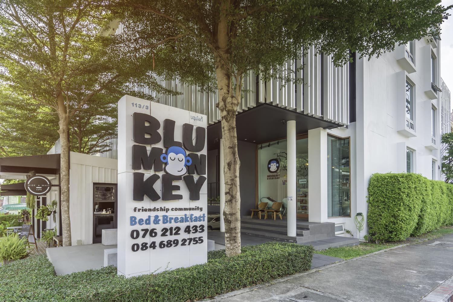 Blu Monkey - Sha Hotel