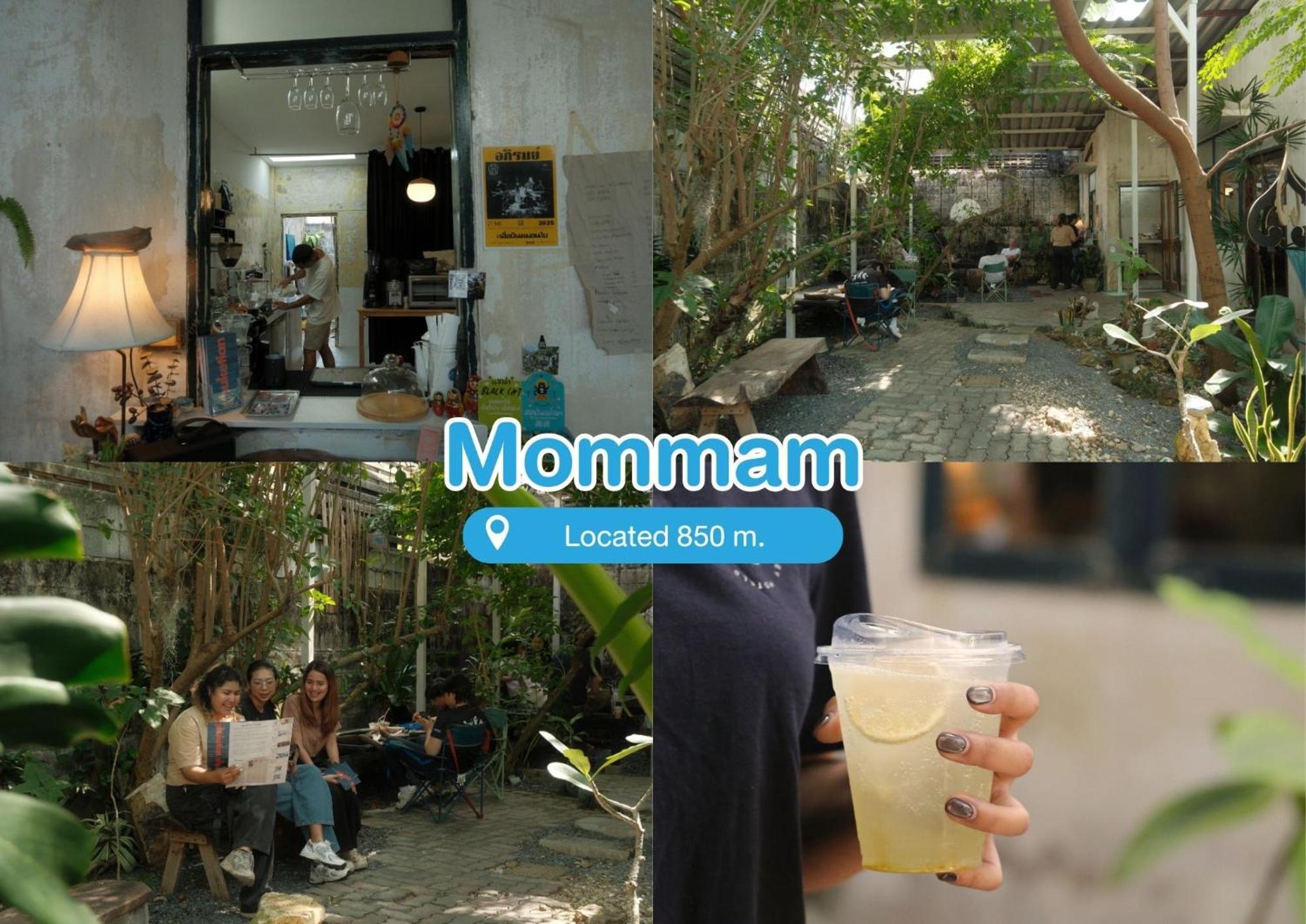 Blu Monkey Hotell 3*